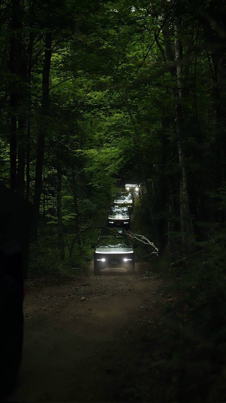 Tesla Cybertruck Photoshoot: Cybertrucks Off-Roading in The Woods cybertrucks offroading woods 8