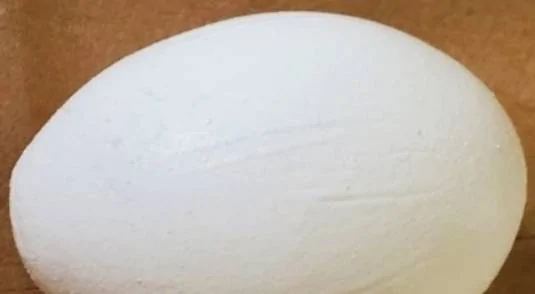 egg Screenshot of mceclip4.jpg (660×495).jpg