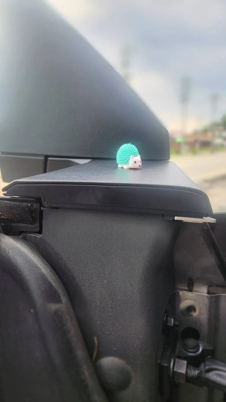 Tesla Cybertruck Upandduck  as Cybertruck Alternative to the Jeep Ducks? 20250712_194446