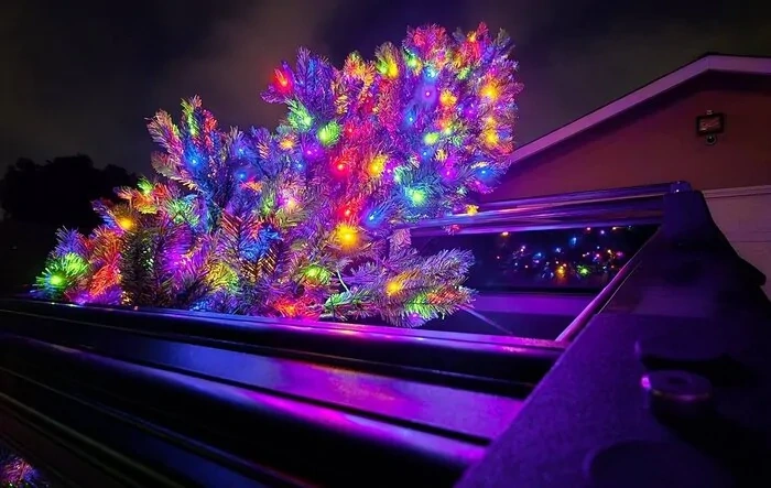 Lit up Christmas Tree in Cyberbeast Bed