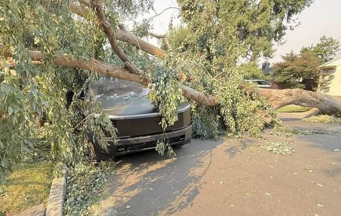 Cybertruck crushed by huge tree in Socal windstorm but still driveable