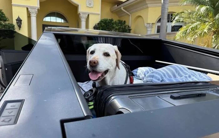 🎁 Foronetry Pet Mat Giveaway! Show Off Your Cybertruck and Your Pet! 🐶🚙