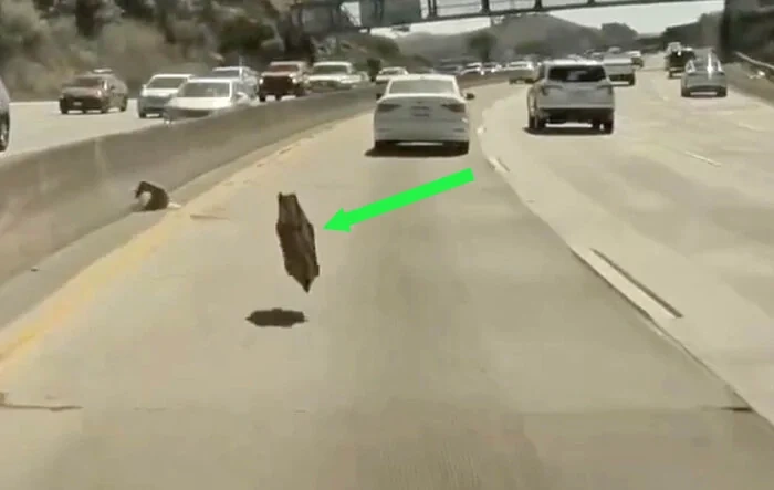 UFO! Cybertruck wheel cover flying off on freeway (video) 🛸
