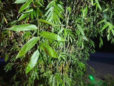 IMG_20260315_193610339_HDR.webp