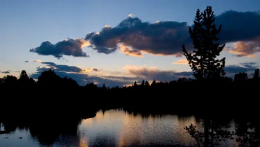 eka-ynp-2007-002-3-crop2.webp