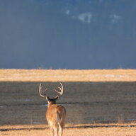 Wyoming