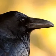 Eka