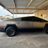 Steel Mamba