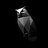 DarKnightX