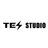 Tesstudio
